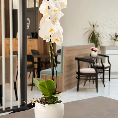 Отель The Honeycomb Boutique 5*
